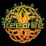 Freetech - Temple - Promo set -Tree of Life Festival - 2014