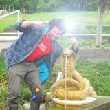 Cocalar Cosmos - Chici cine vine la cina?