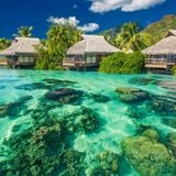 'Isle Of Delight' ~ Progressive House Mix.