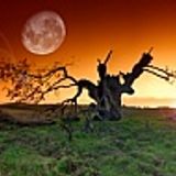 Acid Techno Mix - some of my tunes..