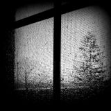 Before The Rain