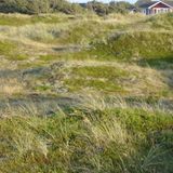 Herbst 2013