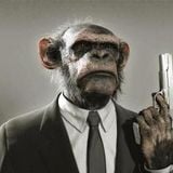 Cheeky Chimp Disco Vol 8 - Chimped Out With A Gangster Twist