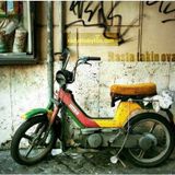 Rasta Takin Ova! - 13 Aralik