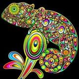 Melody The Gecko