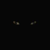 M@sters Dark Remainings 4