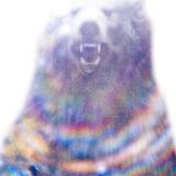 Summer Bumps Vol. 4: "One Final Bump"