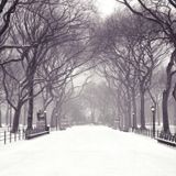Winter Wanderland (part 4)