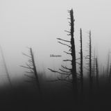ASIP - Silhouettes