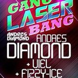 Gang Laser Bang 15.12.2012 @ The Flag