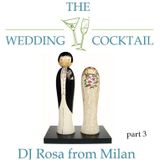 DJ Rosa from Milan - The Wedding Cocktail - part 3