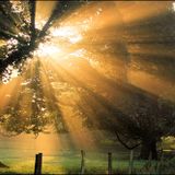 Magic Sunset 060