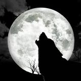 this is a Trapadelic mix from ILLTEXT hip hop trap New paradigm flavor