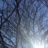 Winter Melt
