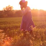 Indie Newbies 2011