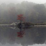 autumn deep dive