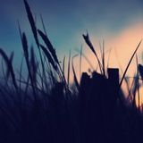 100% ALL IN EP041 "Music For Windy Days"