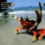 Prodigy - Fat of the Land mixed tracks