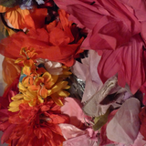 MORE vinyl from Juanita MORE!