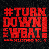 Selections Vol. 4 "Turn Down For What"