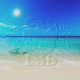 CatLab 2013