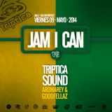 JAM I CAN PROMO MIX - TRIPTICA SOUND