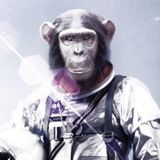 Bonobo Astronaut Radioes Chinese Citizen