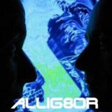 Al Stevens's Mixlr