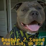 The Dancehall Mix With Double Z (11 05 2010)