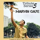 Tribute Series V -Marvin Gaye