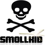 Mix Session 28 (mixed by Smollkid)
