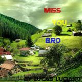 Miss You Bro
