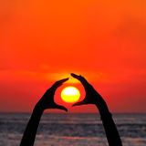 Fingerman's Adventures Beyond The Call Of Disco 4 AOR SUN GAZING