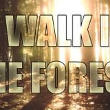 A Walk In The Forest