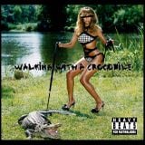 72 Soul presents: DJ Croco - Walking with a Crocodile