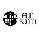 David Suono - Tech Apartement 23.01.2013