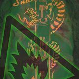 The Snake Pit - Shangri-la - Glastonbury Festival 2011