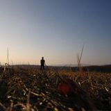 Keeco - Autumn Mix 11.2012