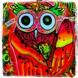 Night Owl