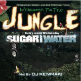 Welcome To The Jungle - DJ KENMAKI