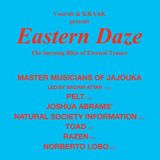 Sterrenplaten 07 November 2014 - Eastern Daze