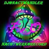 Dj-Nachtwandler-Nachtschwämer dEr Nacht. 2012. F.s.O.Nachtwerk Record