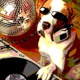 Michael Dog - Planet Dogmix show on Interface Radio 22/1/98