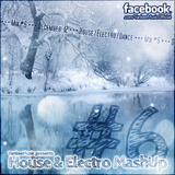 Yankee's House & Electro MashUp #6 (2012)