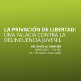 29 OCT 2014 - Privación de la libertad como falacia para la reducción de la delincuencia juvenil