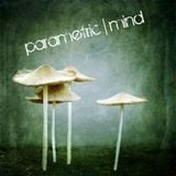 Parametric Mind - Glam sessions 14 - 9 - 2013
