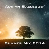 Summer 2014 Mix