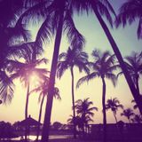 House & Deep House Vol. II