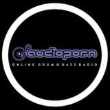 #019 Audioporn FM - Dec 20th 2015 (Special Guest DJ Smithy)