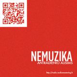 2013.02.19 - Nemuzika antradienio ausims